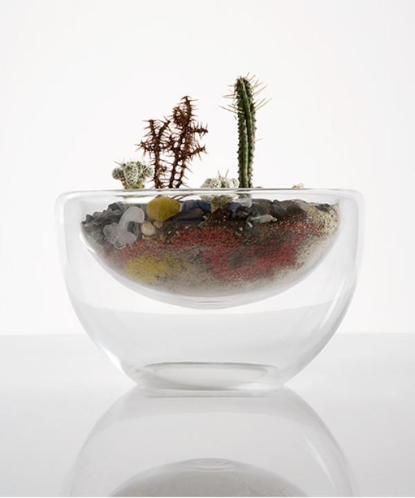 miniatyr öken designer terrarium som en miniträdgård