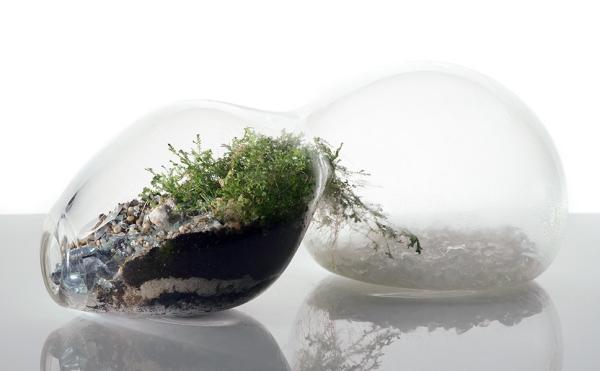 jordnötsform designer terrarium som en miniträdgård