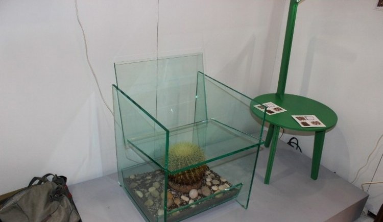 möbler terrarium kaktus stenar sidobord stol glas