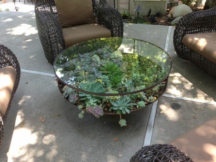 terrarium möbler soffbord rund design saftig utomhus korg fåtölj