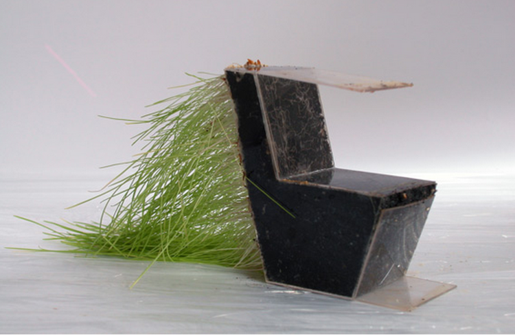 terrarium möbler stol gräs idé original marmor