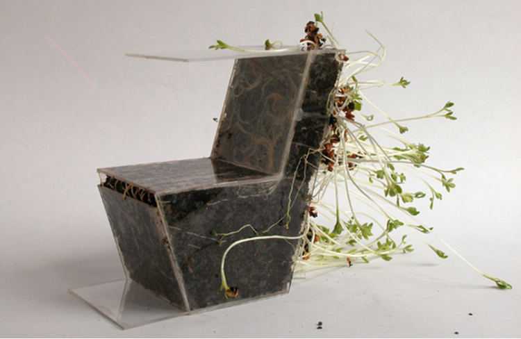 möbler terrarium stol glas jord växter ryggstöd