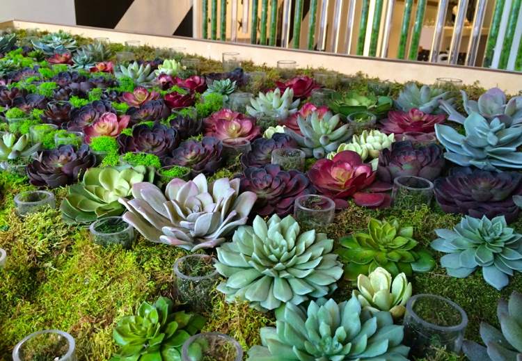 terrariummöbler succulenter bord färgglada färger idé