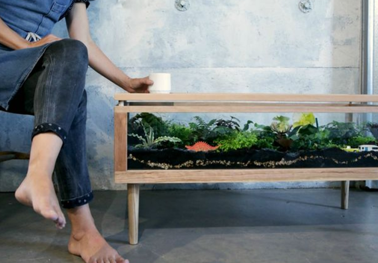 möbler terrarium soffbord idé trä ram betongvägg