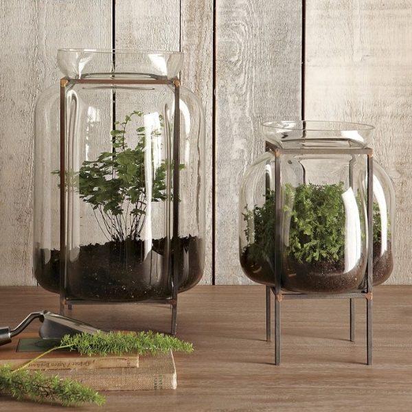 Glasögon växter terrarium uterum