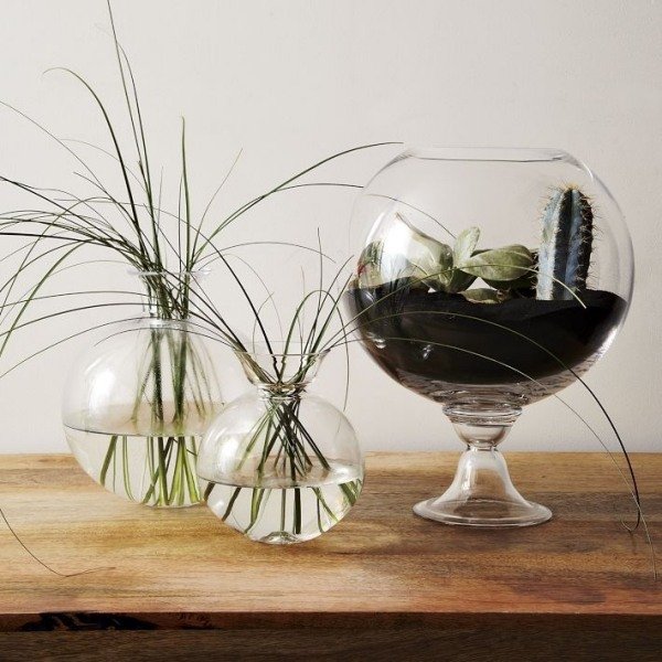 Vase terrarium vinterträdgård idé