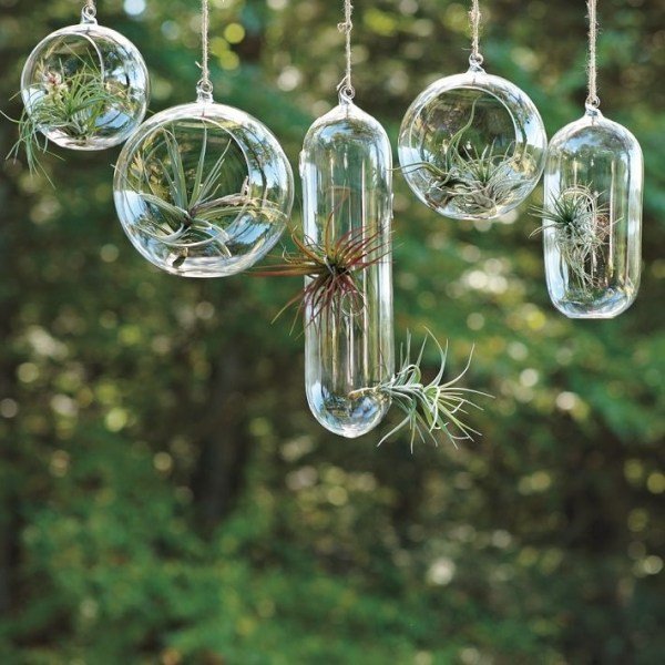 Utomhus dekoration-glas terrarium växter
