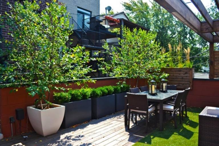 Terrass-balkong-design-krukväxter-små-inomhus-träd-citrusfrukter