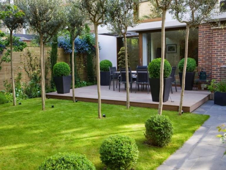 Terrass-balkong-olivträd-krukväxter-ram