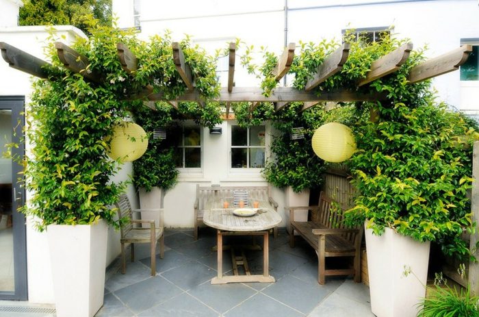 terrass och veranda växter bänk bord pergolakakel