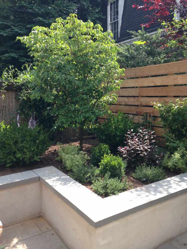 terrass-trädgård-design-säng-träd-graeser-buesche-staket