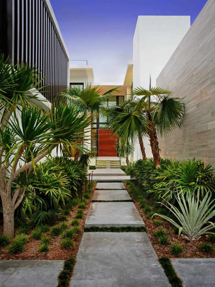 Betongterrassplattor trädgårdsstig-idé-moderna-palmbäddar