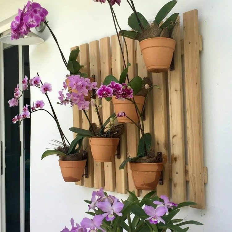 Idé för orkidéer och andra skuggväxter i lerkrukor på träskivor