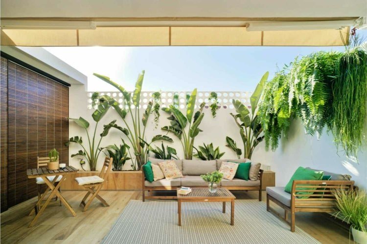 Skapa en terrass med en upphöjd säng för plantering av kala väggar