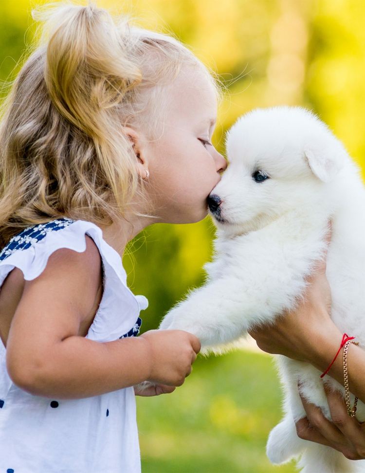 Terapihundträning kostar terapihund hos barn