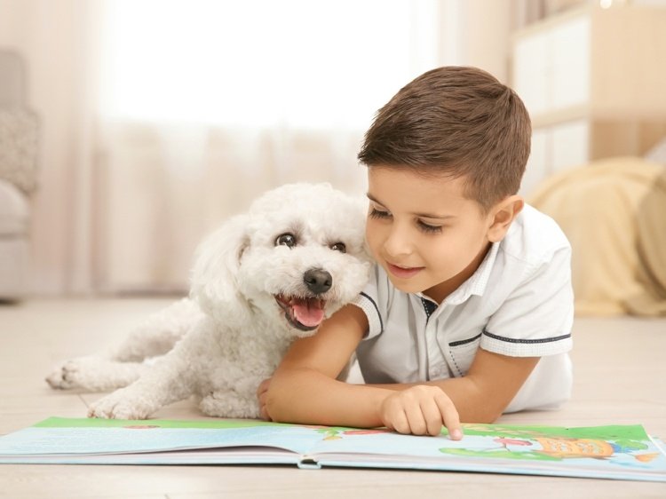 Terapihund hos barn fördelar terapi hund följeslagare hund skillnad