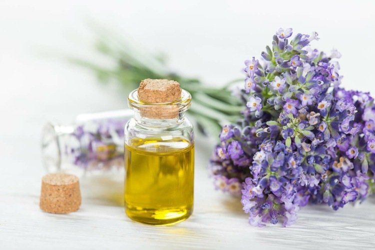 Aromaterapi för Better Sleep Lavender Oil Diffuser