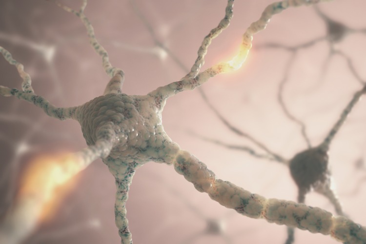 neuroner som visas i 3D-animering närbildsanslutningar djup hjärnstimulering