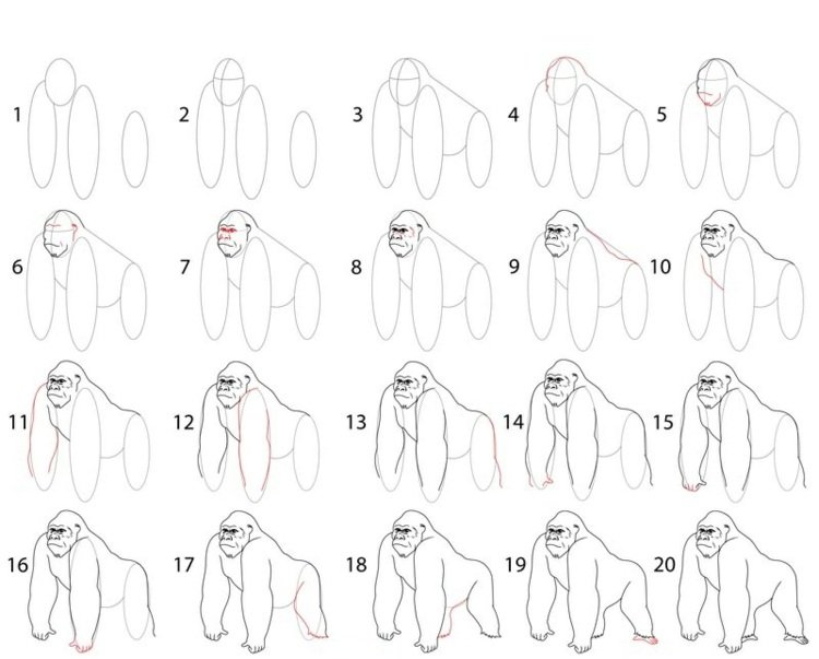 Måla djur - detaljerade instruktioner för en gorilla