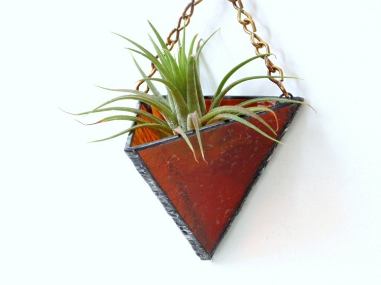 tillandsia-och-andra-luft-växter-vägg-dekoration-inspiration-trädgård-interiör