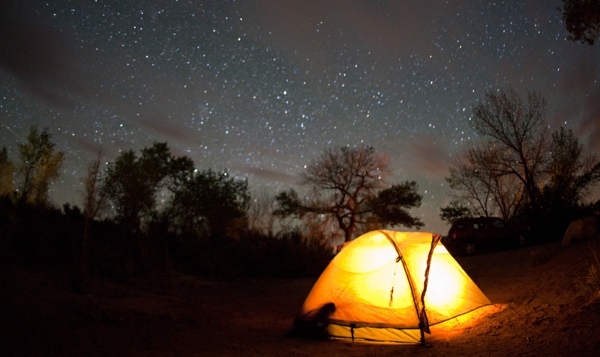 blinkande stjärnor himmel natur skog camping