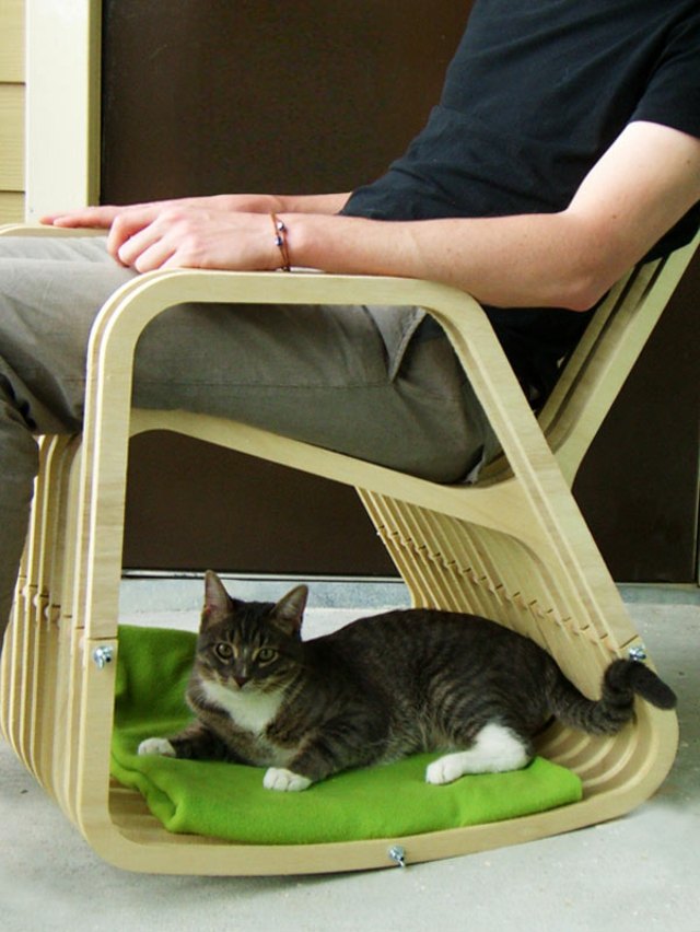 Vagga-stol-och-katt-säng-katt-på-en-filt