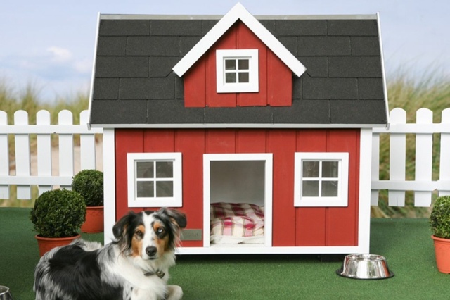 Röd-trä-hus-för-hundar