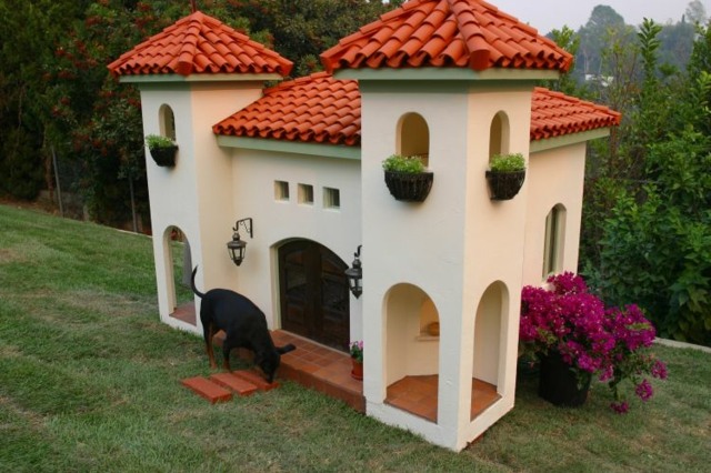 Bunk house hund hem trädgård