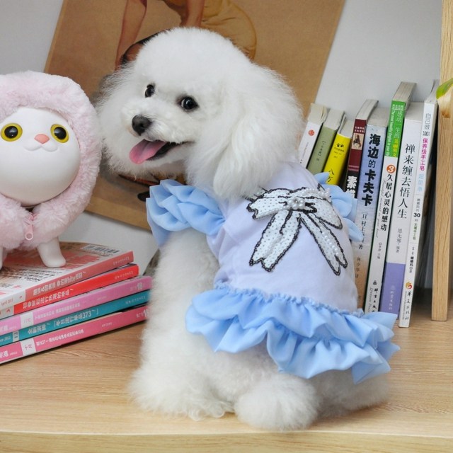 Little Dog Clothing Books
