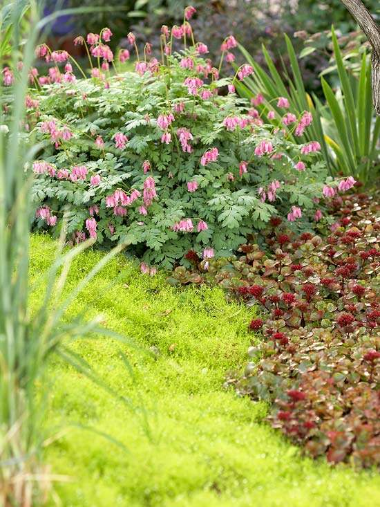 Plantera rabatter för trädgårdsdesign