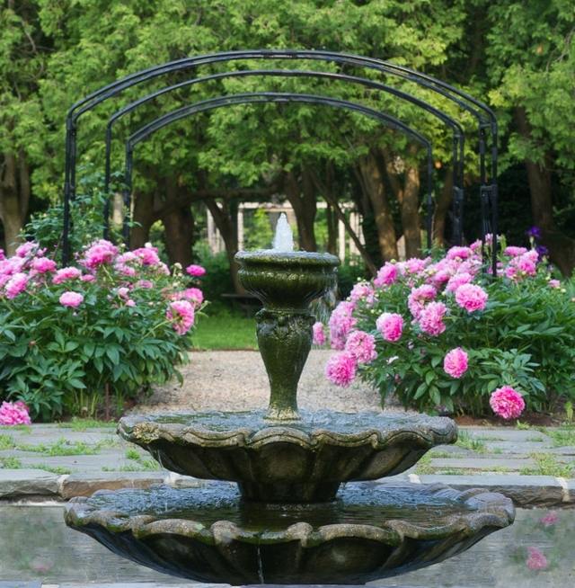 Skapa stil pioner rosa blommor trädgård fontän pergola