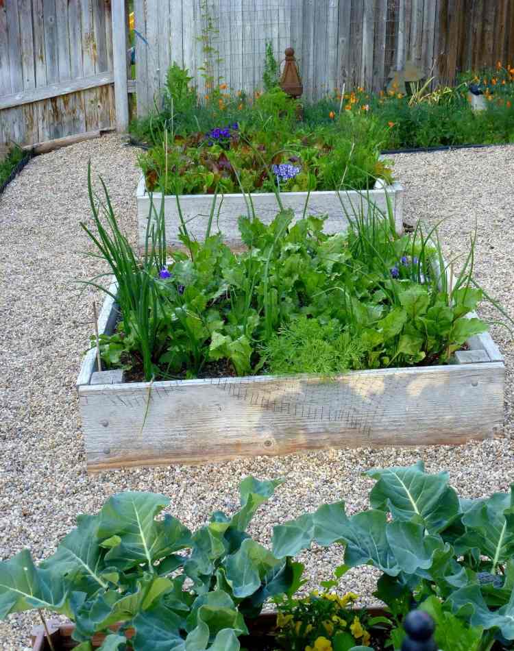 tips-idéer-liten-trädgård-design-grönsaker-upphöjd säng-grus-trä