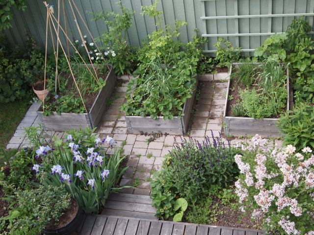 Små trädgårdsdesign upphöjda sängar grönsaker iris trä trädgårdstaket
