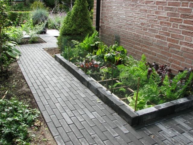 tilldelning trädgård idéer trottoar upphöjda sängar grönsaker