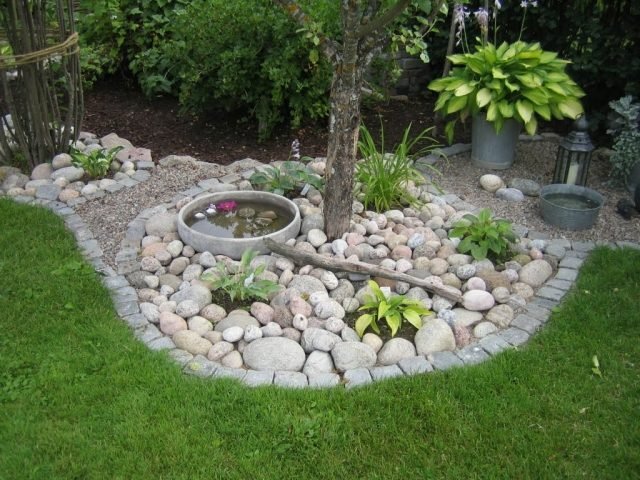 tilldelning trädgård design idéer stenar vatten mini rika växter gräsmatta
