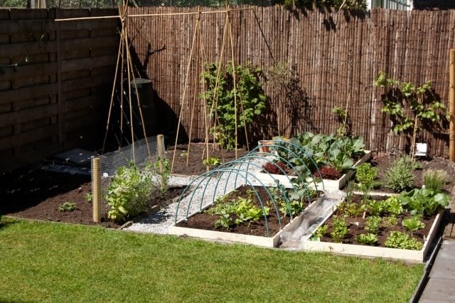små trädgårdsidéer grönsaksbäddar integritetsskyddsmattor