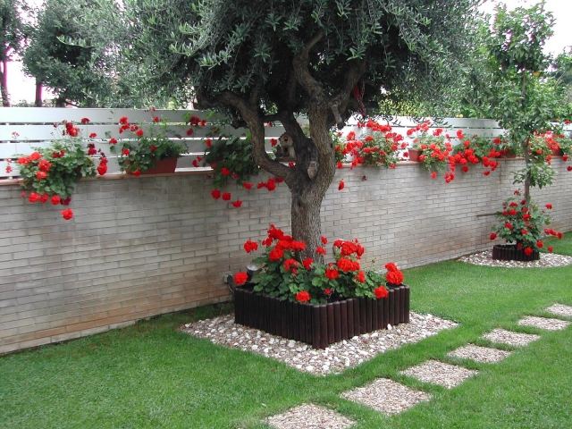trädgårdsdesign idéer träd röda pelargoner upphöjda sängsteg trädgårdsvägg