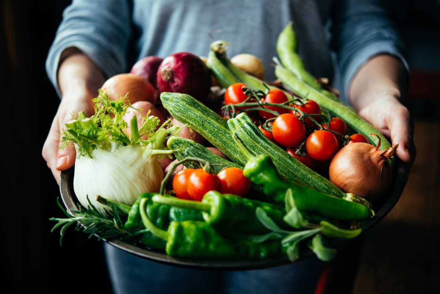 ekologiska grönsaker som fänkålskörsbärstomater zucchinipeppar och lök färska i en hink