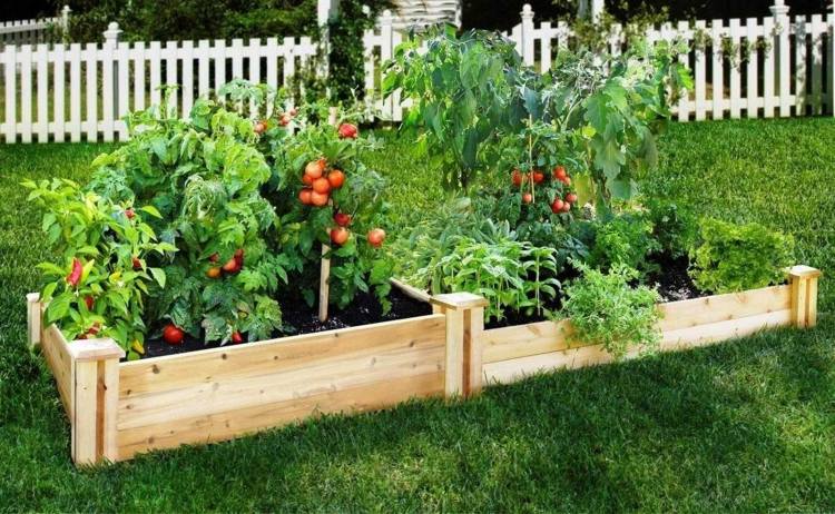 Tips-trädgård-underhåll-grönsaker-trädgård-ved-höjd säng