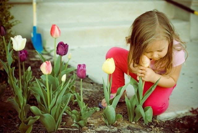 Trädgårdsunderhållstips liten flicka blommar ömt