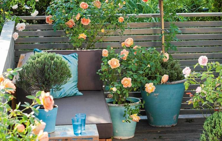 Krukväxter orange rosa blommor djupa badkar balkong hörnsoffa