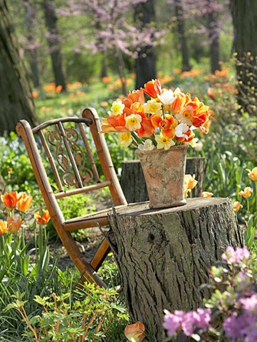 Trädgårdsdesign Orange blommor bordssträd