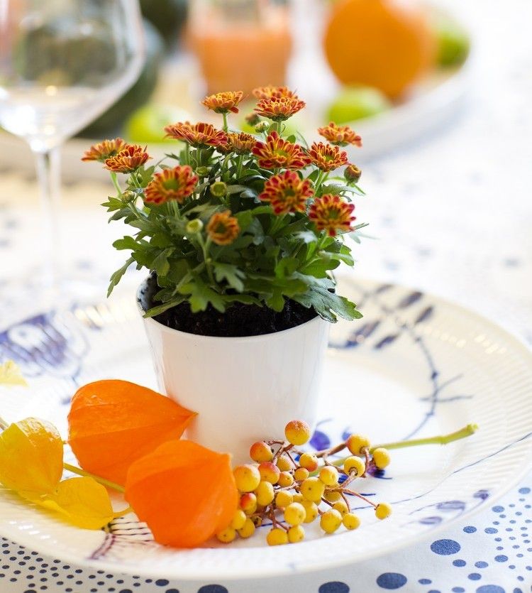 bordsdekoration-höst-idé-liten-krukväxt-gäst-gåvor-krysantemum-lampion-blommor