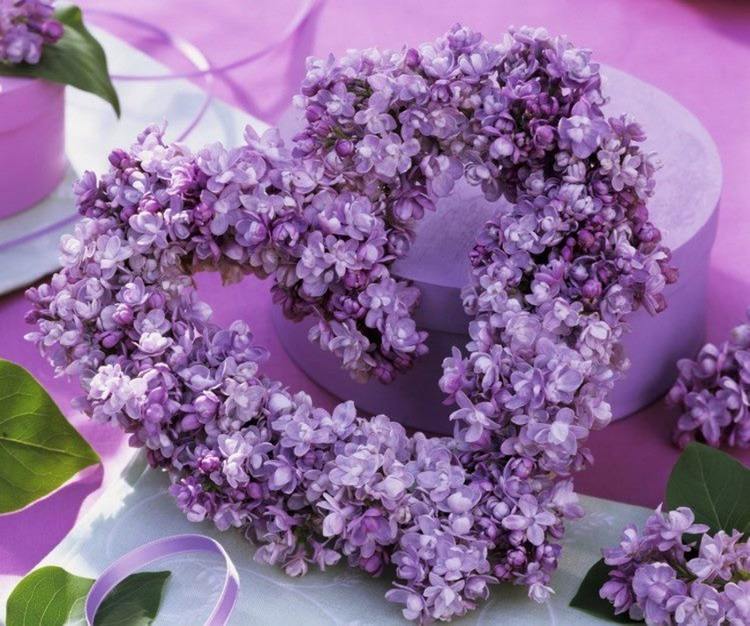 Bordsdekoration med blommor lavendel krans hjärtform