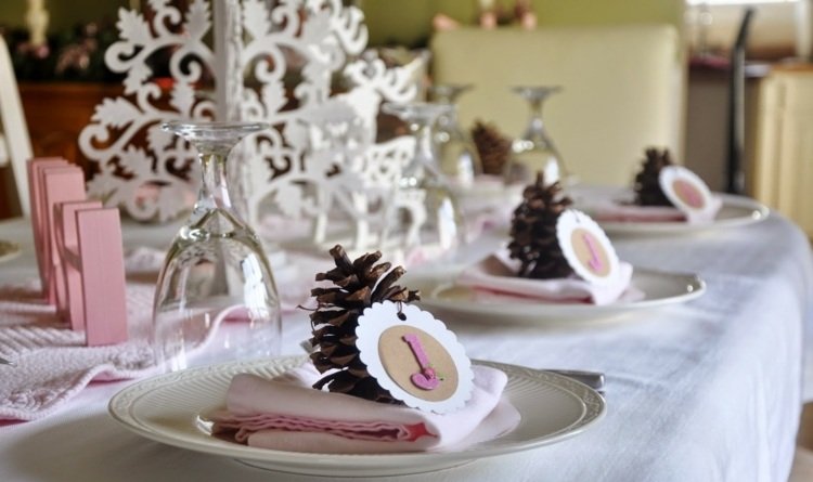 Placera kort-bröllop-vinter-tall-kottar-rosa-dekoration