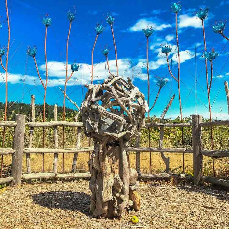 drivved staty konst form stål staket trädgård ställningar äpple blå himmel blommar