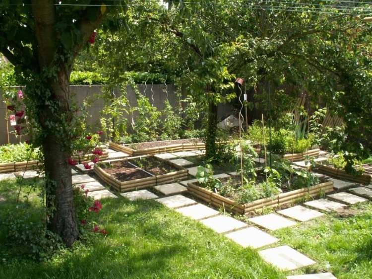 Odla tomater i höghöjden och avgränsa dem med en trädgårdsväg