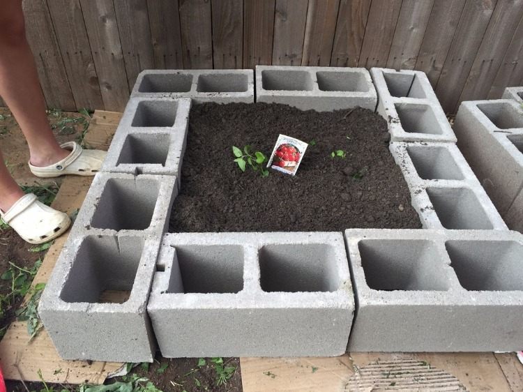 Bygg en upphöjd säng för tomater själv med betongstenar och växtfrön
