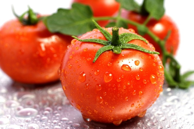 Plantering av röda tomater som växer färska grönsaker
