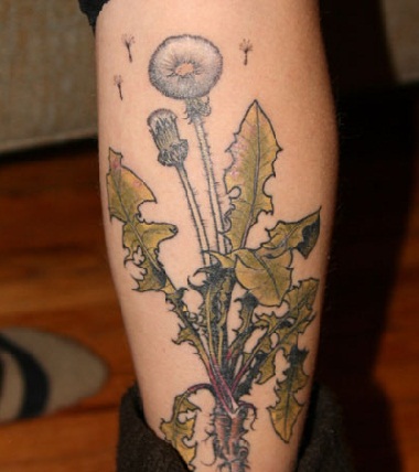Τατουάζ Wild Dandelion